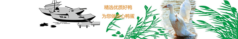 白洋淀咸鴨蛋 白洋淀咸鴨蛋