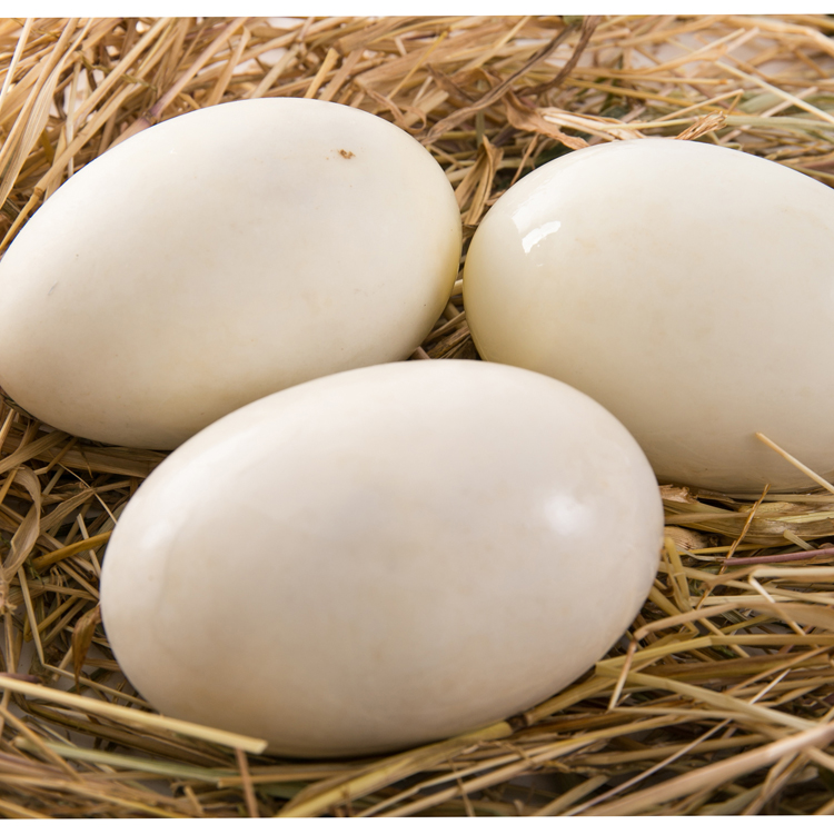 白洋淀咸鴨蛋